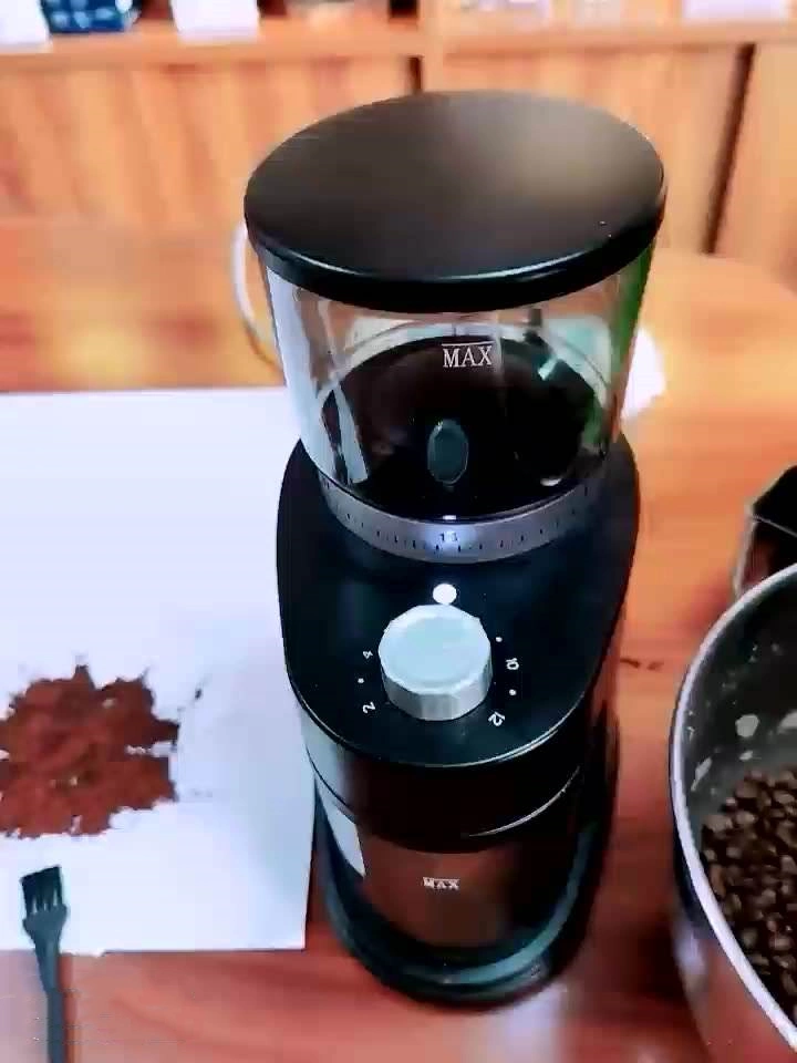 120W Electric Flat Burr Coffee Grinder with Fineness Adjustment